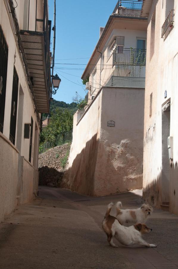 Casa Beatles Del Valle Pinos del Valle المظهر الخارجي الصورة